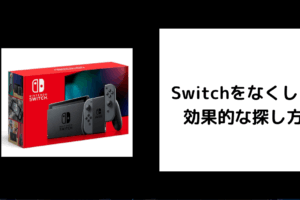 Switch 探す方法