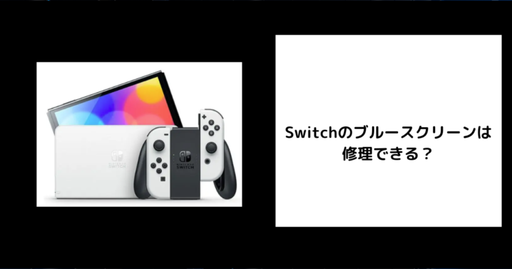 Switch ブルースクリーン 修理