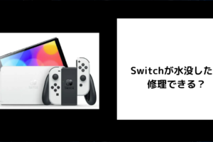 Switch 水没 修理